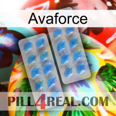 Avaforce 23